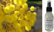 Golden Wattle - Room & Linen Spray