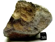 Classified Achondrite meteorite NWA 12513 fresh monomict gabbroic eucrite 386 g
