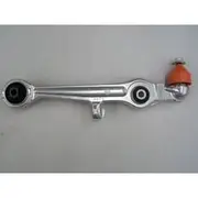 Wasp Control Arm - WBJ00969