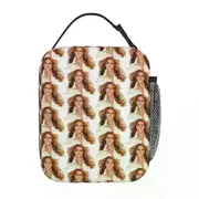 c706 Rambutterurai Celine Dion 2019 Tour Dates And C Lunch Bags Insulated Lunch Tote Leakproof Picnic Bags for Woman Work Children k706