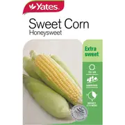 Yates Sweet Corn Honeysweet Seeds each