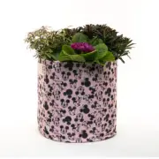 Jardinopia - Eco Pot Mickey & Minnie Mouse Small Pink, Fabric, Home D?cor