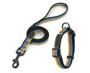 Dog Collar and Leash Set, Personalized Dog Collar with Pet ID TagPicture Color-L