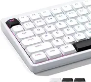 GMKWTL XVX Low Profile White Keycaps, Shine Through Keycap Set, Double Shot PBT Key caps, Bow Keyboard Keycaps Compatibility for 60% 75% 80% 85% 100% MX Switches Mechanical Keyboard