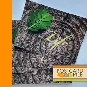 Life. Green Leaf On Tree Ring Stump, Set Of 5 Postcards unused Postcard Lot New