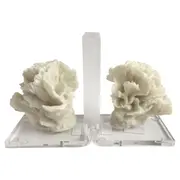 [Florabelle Living] Pair Of White And Clear Coral Bookends