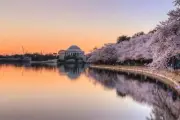 Jefferson Memorial at Sunrise Washington DC Photo Art Print Poster 24x36 inch