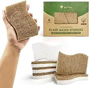 AIRNEX Natural Kitchen Sponges Pack of 6 - Cellulose and Coconut Husk Dishwashing Scrubbers - Odor Free, Non Scratch, Eco Friendly, Quick Drying Scrub Sponges for Washing Dishes