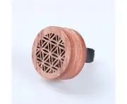 Essential Oil Car Diffuser with Vent Clip,Natural Aromatherapy Wooden