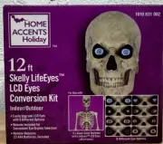 Home Accents 12 ft. Skeleton Skelly Eye Kit Holiday Halloween Home Depot