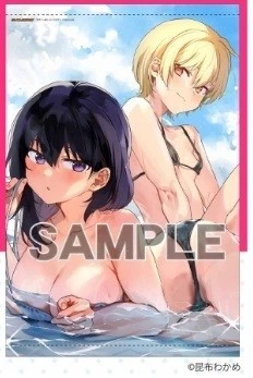 y19 Tapestry Kombu Wakame Anime Poster B2 Japan Original