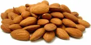 Delicious Raw Unsalted Australian Almonds 500g Healthy and Nutritious