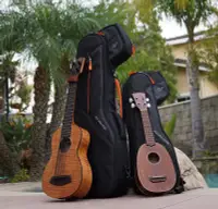 在飛比找Yahoo!奇摩拍賣優惠-小叮噹的店- 烏克麗麗袋 ukulele GruvGear 