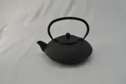 Cast Iron Teapot, Enameled Interior, Stainless Steel Strainer, Black Flowers