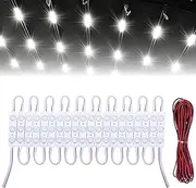 12V 60 LED Interior Lights for Trucks, Cargo Van Accessories, Ceiling Work Lights Kit, Enclosed Trailer Lights for Truck Van RV Boats Caravans (20 Modules, White)