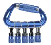 Bordo 2544-QC - SDS+ Bit Holders 5 Piece on Carabiner