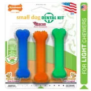 Nylabone FlexiChew Small Dog Dental Kit Peanut Butter Bacon Flavor Dog Chew Toys