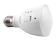 AgroLED 4 Watt Green Flashlight/Lamp AC/DC Rechargeable