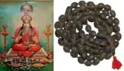 Lotus Seed Original Kamal Gatta Japa Mala 108 Beads Prayer Hindu Diwali Laxmi