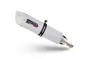 Triumph Tiger 900 2020-2023 Exhaust GPR Slip-on Albus Evo4