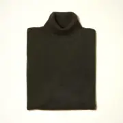 NEW Mens Inserch Turtleneck Sweater Fall Winter Soft Knit Regular Fit Charcoal G