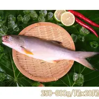 在飛比找momo購物網優惠-【新鮮市集】人氣原味午仔魚20尾(250-300g/尾)
