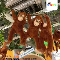 在飛比找蝦皮商城精選優惠-宜家網紅大猩猩玩偶尤恩格斯庫格小猴子兒童毛絨玩具紅猩猩布娃娃