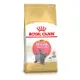 【ROYAL 皇家】英國短毛幼貓專用乾糧BSK38（10kg）（預購商品）