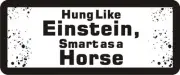 3 - Hung Like Einstein, Smart As Horse Hard Hat / Biker Helmet Sticker BS204