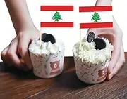 Lebanon Mini Flag Cupcake Topper,100 PCS Small Lebanese Banner Cake Cheese Label,Mini Toothpick,Tiny Food Flag Decoration