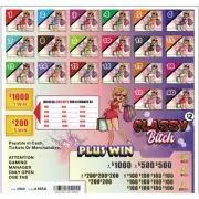 CLASSY B 2 POINT/2120P 3960 PULL TAB HARD CARD TICKETS WINDOWS HOLDERS GAME