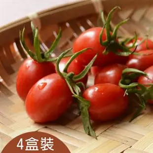 花田有機玉女小番茄(4台斤)