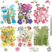 120Pcs Dried Pressed Flowers for Resin Mold Dry Flower Real Leaves Bulk with Tweezers Natural Herbs Kit for Scrapbooking DIY Art Crafts Candle Jewelry Making Nails Floral Decoration(Multicolor)