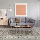 Large Floor Rug 190x280cm Khaki Beige Brown Allover Carpet Plush Washable Mat