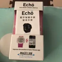 在飛比找蝦皮購物優惠-Echo 藍芽智慧手錶