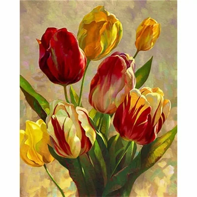 Paint By Numbers Adults kids Tulip Red Yellow DIY Painting Kit 40x50CM Canvas