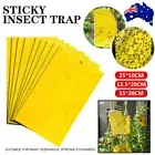 To 100X Sticky Trap Fruit Fly Pest Insect Trap Catchers Yellow Sticky Bug Traps