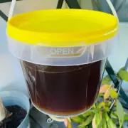 Rare and Rich Honey – 100% Pure – Victorian Made – 1 kg Bucket