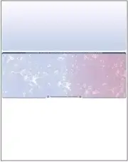 2500 Blank Check Stock - Check in Middle - Blue/Red Prismatic
