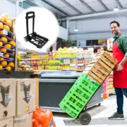 Portable Folding Trolley Hand Truck Lightweight Luggage Cart Warehouse Shopping