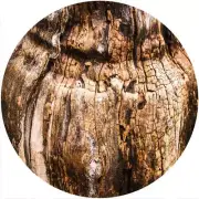 Slipmat Slip Mat for any Felt 12" Turntable LP DJ Record Player WOOD TEXTURE 5