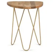 Trent Home Modern 18 inch Wide Metal and Wood Accent Side Table in Natural Gold