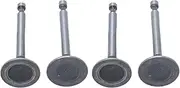 Respicefinem 2 Sets Engine Valve Kit Stainless Steel Intake Exhaust Stem for 2KW 2.5KW 3KW 168F GX160 Gasoline Engine Water Pump Parts Replacement