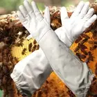 1 Pair Anti-bee Canvas Sheepskin Gloves Anti-sting Beekeeping Tools