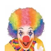 Kids Clown Wig Rainbow Afro Circus Multicolored Costume Halloween Childs Party