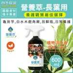 植物萃 營養萃 觀葉養護 植物保護劑 長葉用 天然資材植物保護劑 龜背芋 白水木 鹿角蕨 苔蘚瓶 日常養護【四季綠園】