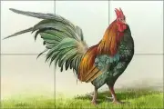 Ceramic Tile Mural Backsplash Brown Rooster Country Life Art MBA014