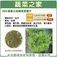 在飛比找樂天市場購物網優惠-【蔬菜之家】A89.綠香火焰綠萵苣種子(共有2種包裝可選)