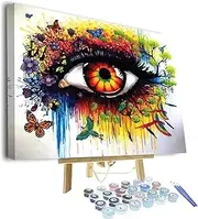 TUMOVO Paint by Numbers for Adults Beginner, Abstract Watercolor Eye Oil Painting Paint by Number Kits On Canvas, Abstract Eye DIY Paint by Numbers for Kids Ages 8-12, 16x20inch with Frame