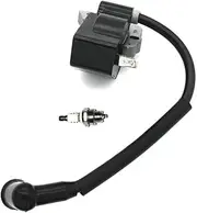 Ignition Coil Module Spark Plug Fit For 075 BG55 BG65 BG85 BG45 BG46 BR45 SH55 SH85 AM42 Leaf Blower 4229 400 1300